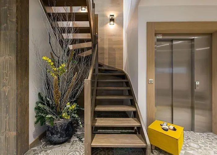 Clara 木屋 梅杰夫